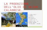 LA PRODUZIONE DELLOLIO DI OLIVA CALABRESE… A CURA DEll ALUNNA: Benfatto Elisabetta CLASSE II^ F SCUOLA SEC. DI PRIMO GRADO P.MILONE- PALMI.