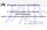 LOrganizzazione Strutturale delle Proteine: dalla Termodinamica alla Bioinformatica Prof. Mauro Fasano mauro.fasano@uninsubria.it.
