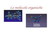 Le molecole organiche. Il ruolo centrale del carbonio I composti che sono sintetizzati dalle cellule e che contengono carbonio sono detti composti organici.
