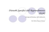 Disturbi Specifici dellApprendimento (DSA) Psicologia dellhandicap e della riabilitazione Prof. Maria Francesca Pantusa.