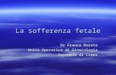 Dr Franco Dorato Unità Operativa di Ginecologia Ospedale di Crema La sofferenza fetale.