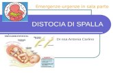 DISTOCIA DI SPALLA Dr.ssa Antonia Carlino Emergenze-urgenze in sala parto.