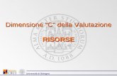 Dimensione C della Valutazione RISORSE Università di Bologna.