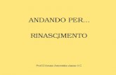 RINASCIMENTO ANDANDO PER… Prof.DAmato Antonietta classe II C.