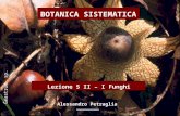 Lezione 5 II – I Funghi BOTANICA SISTEMATICA Alessandro Petraglia Geastrum sp.