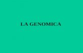 LA GENOMICA. GENOMICA La genomica è una branca della biologia molecolare che si occupa dello studio del genoma degli organismi viventi.