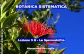 Alessandro Petraglia Lezione 9 II – Le Spermatofite Metrosideros umbellata Cav. BOTANICA SISTEMATICA Alessandro Petraglia.