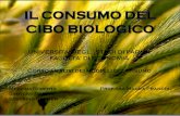 UNIVERSITA DEGLI STUDI DI PARMA FACOLTA DI ECONOMIA Corso analisi dei modelli di consumo Mezzina Roberta Prof.ssa Maura Franchi Santoro Marica Soverino.