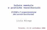 Salute mentale e pratiche territoriali Il DSM e l organizzazione dei servizi territoriali Livia Bicego Trieste, 11-15 settembre 2006.