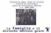 La famiglia e il disturbo mentale grave Università degli Studi di Trieste Facoltà di Psicologia Corso di Psichiatria Sociale a.a. 2008/2009.