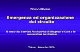 Bruno Norcio Emergenza ed organizzazione del circuito IL ruolo del Servizio Psichiatrico di Diagnosi e Cura e la connessione territoriale IL ruolo del.