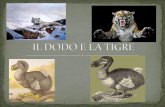 DODO= gallina preistorica scomparsa nel Madagascar. In un tempo molto lontano viveva un dodo molto impacciato che mentre faceva il bagno nel fiume una.