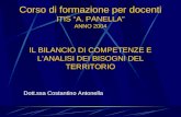 Corso di formazione per docenti ITIS A. PANELLA ANNO 2004 IL BILANCIO DI COMPETENZE E LANALISI DEI BISOGNI DEL TERRITORIO Dott.ssa Costantino Antonella.