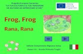 Frog, Frog Rana, Rana Istituto Comprensivo Rignano Incisa classe 4 A – Scuola Primaria Troghi Progetto Europeo ComeniusLA TUA CULTURA E LE TUE TRADIZIONI.