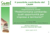 [ ] 1  Il possibile contributo del CAAM Assolombarda Organizzazione zonale "Pedemontana Lombarda: quali opportunità per imprese e territorio?"