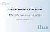 0 Confidi Province Lombarde Cavenago, 18 Marzo 2008 Il Confidi e la garanzia mutualistica.