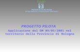 PROGETTO PILOTA Applicazione del DM 09/05/2001 nel territorio della Provincia di Bologna PROVINCIA DI BOLOGNA SETTORI AMBIENTE e PIANIFICAZIONE TERRITORIALE.