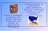 Roma, 20 giugno 2005 Caffè e prodotti coloniali del Centro America coltivati con metodi di agricoltura biologica Riorganizzazione ed orientamento della.