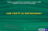 Giddens, Fondamenti di sociologia, Il Mulino, 2006 Capitolo I. Che cosè la sociologia? 1 CHE COSÈ LA SOCIOLOGIA?
