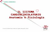 IL SISTEMA CARDIOCIRCOLATORIO Anatomia e fisiologia A cura di: Sabrina Rossi, Maurizio Capelli, Alessandro Teveri.