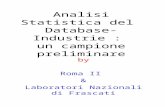 Analisi Statistica del Database- Industrie : un campione preliminare by Roma II & Laboratori Nazionali di Frascati.