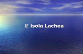 L isola Lachea L isola Lachea. L'Isola Lachea ha una pianta allungata, quasi ellittica con l'asse maggiore di circa 250 m e quello minore di circa 150.