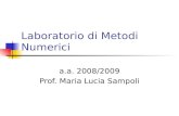 Laboratorio di Metodi Numerici a.a. 2008/2009 Prof. Maria Lucia Sampoli.