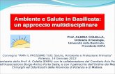 Ambiente e Salute in Basilicata: un approccio multidisciplinare Prof. ALBINA COLELLA, Ordinario di Geologia, Università della Basilicata, Presidente EHPA.