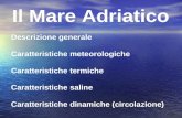 Il Mare Adriatico Descrizione generale Caratteristiche meteorologiche Caratteristiche termiche Caratteristiche saline Caratteristiche dinamiche (circolazione)