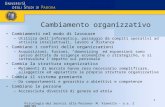 1 Psicologia dei Servizi alla Persona- M. Vianello - a.a. 2008/09 Cambiamento organizzativo Cambiamenti nel modo di lavorare –Utilizzo dellinformatica,