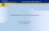 Psicologia dei servizi alla persona Michelangelo Vianello a.a. 2008/2009 Corso di Laurea Specialistica in Programmazione e Gestione dei Servizi Educativi.