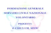 1 FORMAZIONE GENERALE SERVIZIO CIVILE NAZIONALE VOLONTARIO PROGETTI: E-CIBUS UM, MITIC.