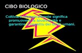 CIBO BIOLOGICO Coltivare biologicamente significa promuovere la biodiversità e garantire il rispetto dei diritti umani.