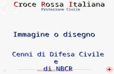 ________________________________________________________________________________________________ Croce Rossa Italiana – Protezione Civile 1 Cenni di Difesa.