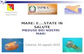 MEDUSE DEI NOSTRI MARI Assessorato Sanità Regione Siciliana MARE: E….STATE IN SALUTE Catania, 02 agosto 2010.