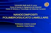 NANOCOMPOSITI POLIMERO/SILICATO LAMELLARE Professore: Antonio Licciulli Studente: Fania Palano Università degli studi di Lecce Corso di laurea in Ingegneria.
