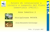 Azioni di innovazione e ricerca a supporto del Piano Sementiero (PRIS1): Area tematica 2 Disciplinare PATATA Roma, 19 giugno 2007 D.ssa Alessandra Sommovigo.