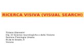 RICERCA VISIVA (VISUAL SEARCH) Tiziana Gianesini Dip. Di Scienze neurologiche e della Visione Sezione Fisiologia Umana St.da le Grazie, 8 Verona.