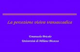 La percezione visiva transaccadica Emanuela Bricolo Università di Milano Bicocca.