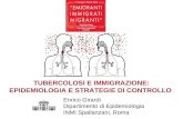 TUBERCOLOSI E IMMIGRAZIONE: EPIDEMIOLOGIA E STRATEGIE DI CONTROLLO Enrico Girardi Dipartimento di Epidemiologia INMI Spallanzani, Roma.