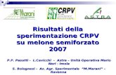 Risultati della sperimentazione CRPV su melone semiforzato 2007 P.P. Pasotti - L.Cavicchi - Astra – Unità Operativa Mario Neri - Imola S. Bolognesi - Az.