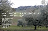 Importanza dellagricoltura nella tutela del paesaggio Ester Foppa Pedretti Davide Neri Paola Riolo Gianfranco Romanazzi Marco Toderi Costantino Vischetti.
