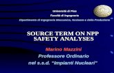SOURCE TERM ON NPP SAFETY ANALYSES Marino Mazzini Professore Ordinario nel s.s.d. Impianti Nucleari Università di Pisa Facoltà di Ingegneria Dipartimento.