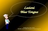 Lesioni Blue Tongue Annalisa Santi, Marco Tamba - IZSLER - Centro Emiliano Romagnolo di Epidemiologia Vet.