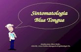 Sintomatologia Blue Tongue Annalisa Santi, Marco Tamba - IZSLER - Centro Emiliano Romagnolo di Epidemiologia Vet.