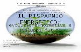 IL RISPARMIO ENERGETICO: Alma Mater Studiorum - Università di Bologna FACOLTÀ DI INGEGNERIA - BOLOGNA Corso di Laurea in Ingegneria Gestionale Principi.