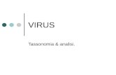 VIRUS Tassonomia & analisi.. 2 Virus: Cosa sono? La differenza tra un virus informatico e gli altri programmi è che i virus sono progettati per auto replicarsi,