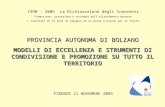 1990 - 2005 La Dichiarazione degli Innocenti Promozione, protezione e sostegno dellallattamento materno I risultati di 15 anni di impegno ed un piano dazione.