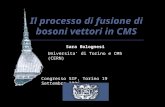 Il processo di fusione di bosoni vettori in CMS Sara Bolognesi Universita di Torino e CMS (CERN) Congresso SIF, Torino 19 Settembre 2006.