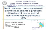 1 Studio della rottura spontanea di simmetria mediante il processo di fusione di bosoni vettori nellambito dellesperimento CMS Universita degli Studi di.